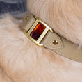 Charger l'image dans la visionneuse de la galerie, sur Cou de Golden Retreiver collier touareg beige , boucle bronze et Murano Ambre et prune