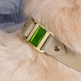 Charger l'image dans la visionneuse de la galerie, sur Cou de Golden Retreiver collier touareg beige , boucle bronze et Murano Olive