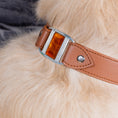 Charger l'image dans la visionneuse de la galerie, sur Cou de Golden Retreiver collier touareg cappuccino , boucle argent et Murano ambre