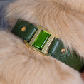Charger l'image dans la visionneuse de la galerie, sur Cou de Golden Retreiver collier touareg vert cactus , boucle bronze et Murano olive