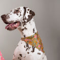 Charger l'image dans la visionneuse de la galerie, Foulard de soie Joy pour chien-Les Soieries d'HUBBTON'S