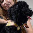 Charger l'image dans la visionneuse de la galerie, Foulard de soie Joy pour chien-Les Soieries d'HUBBTON'S