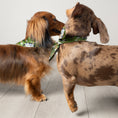 Charger l'image dans la visionneuse de la galerie, Foulard de soie Vert fleuri pour chien-Les Soieries d'HUBBTON'S
