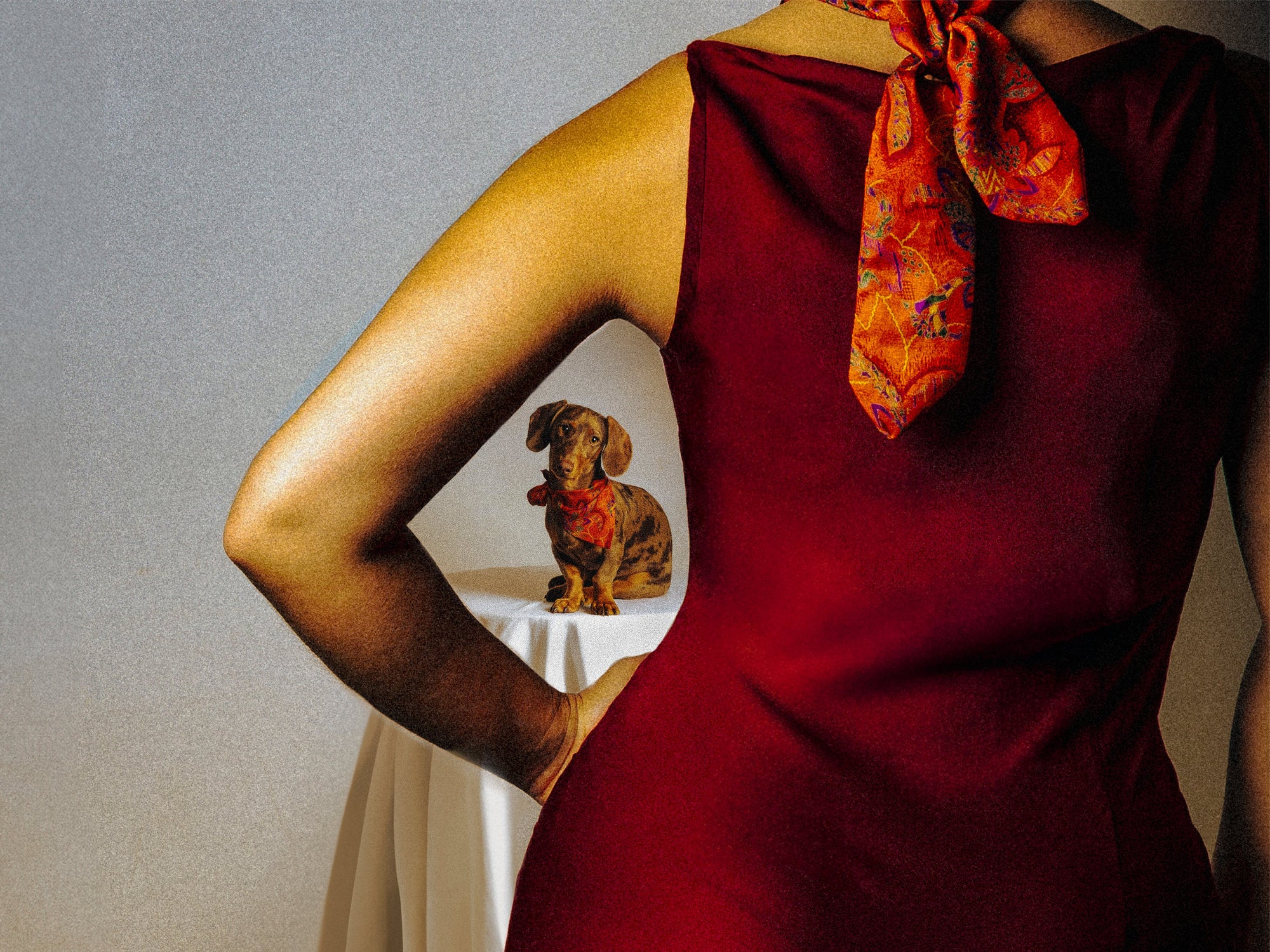 Foulards de soie pour chiens & humains- Collection Les soieries d'HUBBTON'S