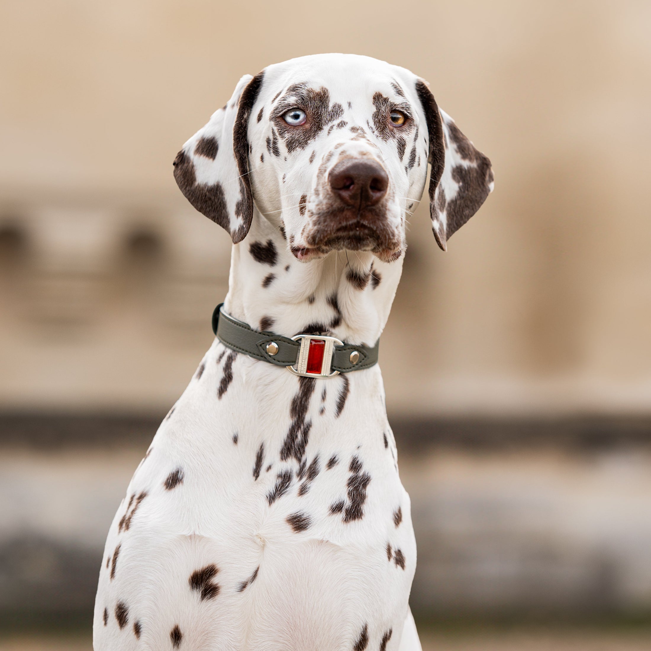 Corps de Collier Touareg pour Petit et Moyen Chien (petite boucle Signature et cabochon à ajouter)