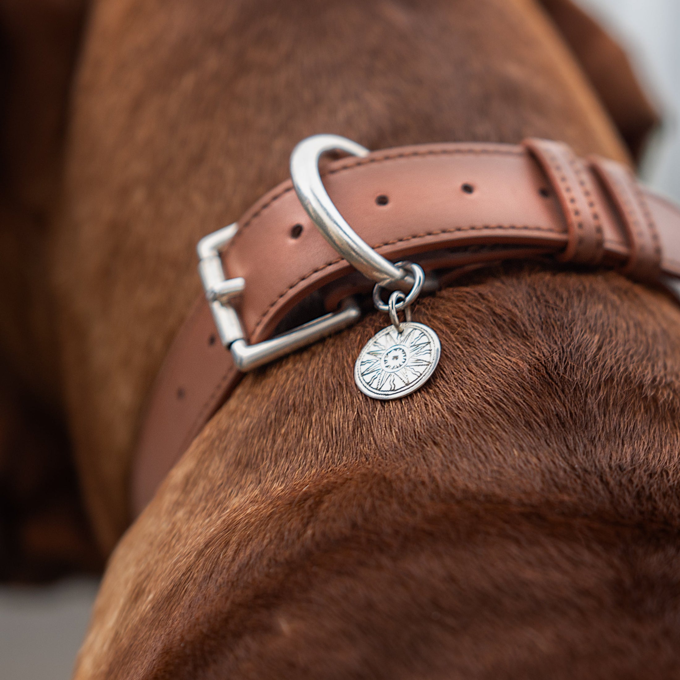 Médailles Soleil-Argent ou bronze verni