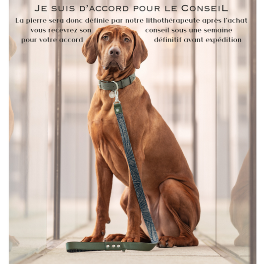 photo de chien avec texte je suis d'accord pour le conseil , la pierre sera donc définie par notre lithothérapeuthe, vous recevrez son conseil sous une semaine pour votre accord définitif avant expédition 