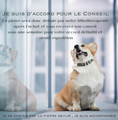 Charger l'image dans la visionneuse de la galerie, photo de petit chien avec texte je suis d'accord pour le conseil , la pierre sera donc définie par notre lithothérapeuthe, vous recevrez son conseil sous une semaine pour votre accord définitif avant expédition 
