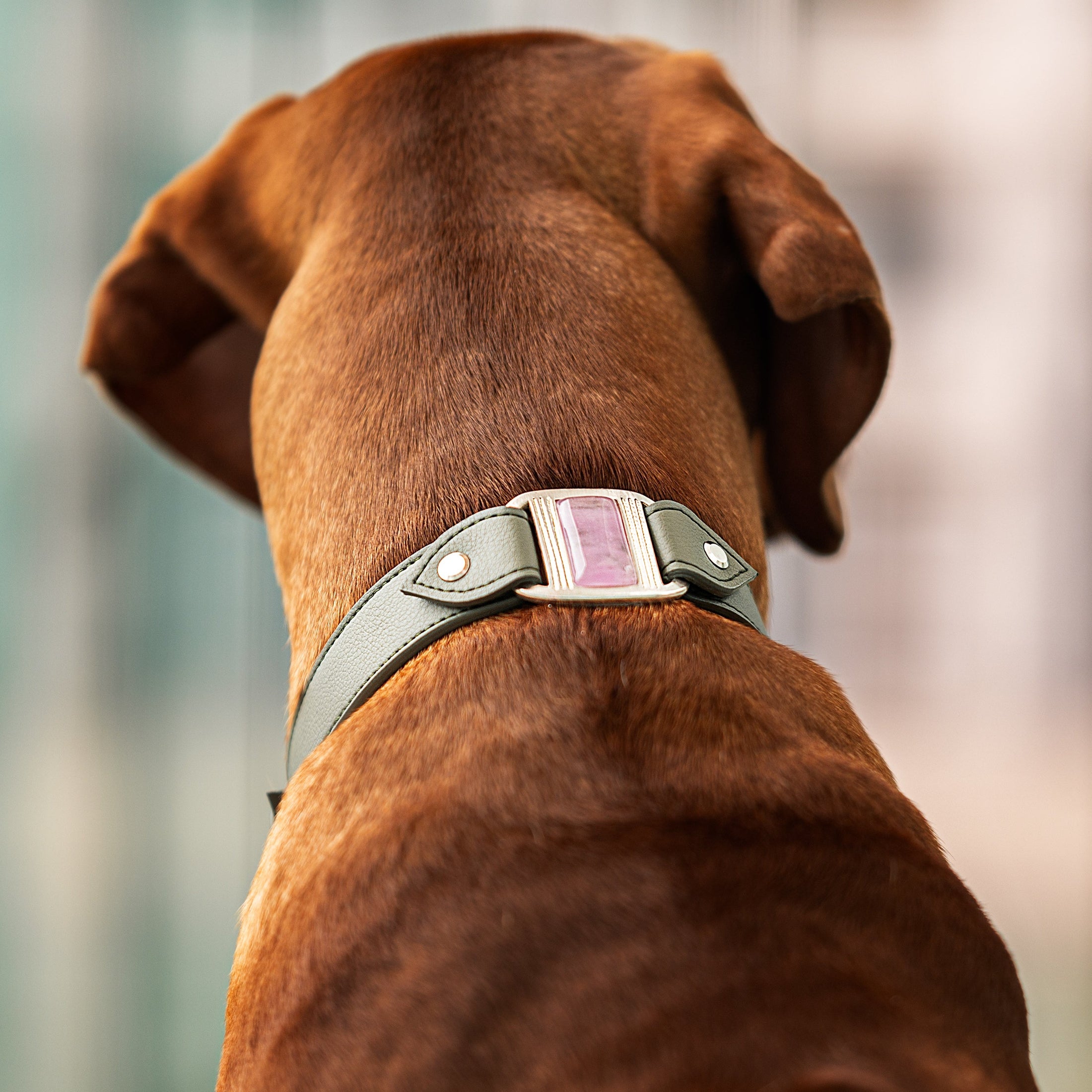 Corps de Collier Touareg pour Grand et très Grand Chien (grande boucle Signature et cabochon à ajouter)