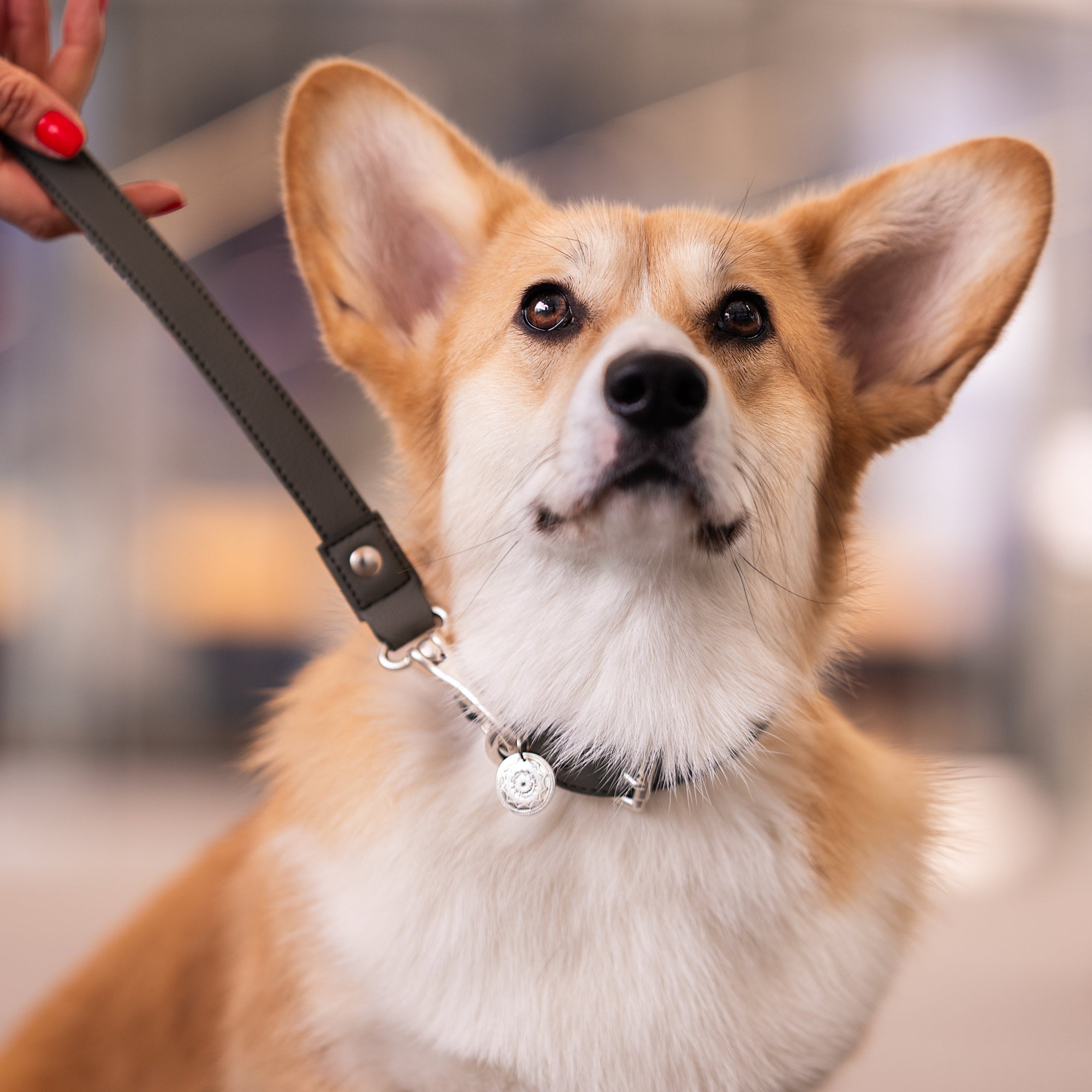 Médaille Chakra-Argent ou bronze verni