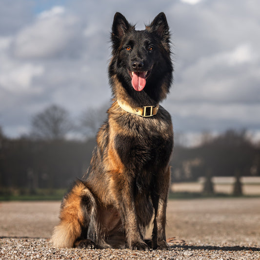 Corps de Collier Touareg pour Grand et très Grand Chien (grande boucle Signature et cabochon à ajouter)