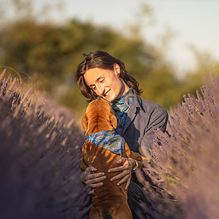 Foulard de soie Bleu Cachemire pour chien-Les Soieries d'HUBBTON'S