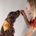 Charger l'image dans la visionneuse de la galerie, Foulard de soie Clémentine pour chien-Les Soieries d'HUBBTON'S
