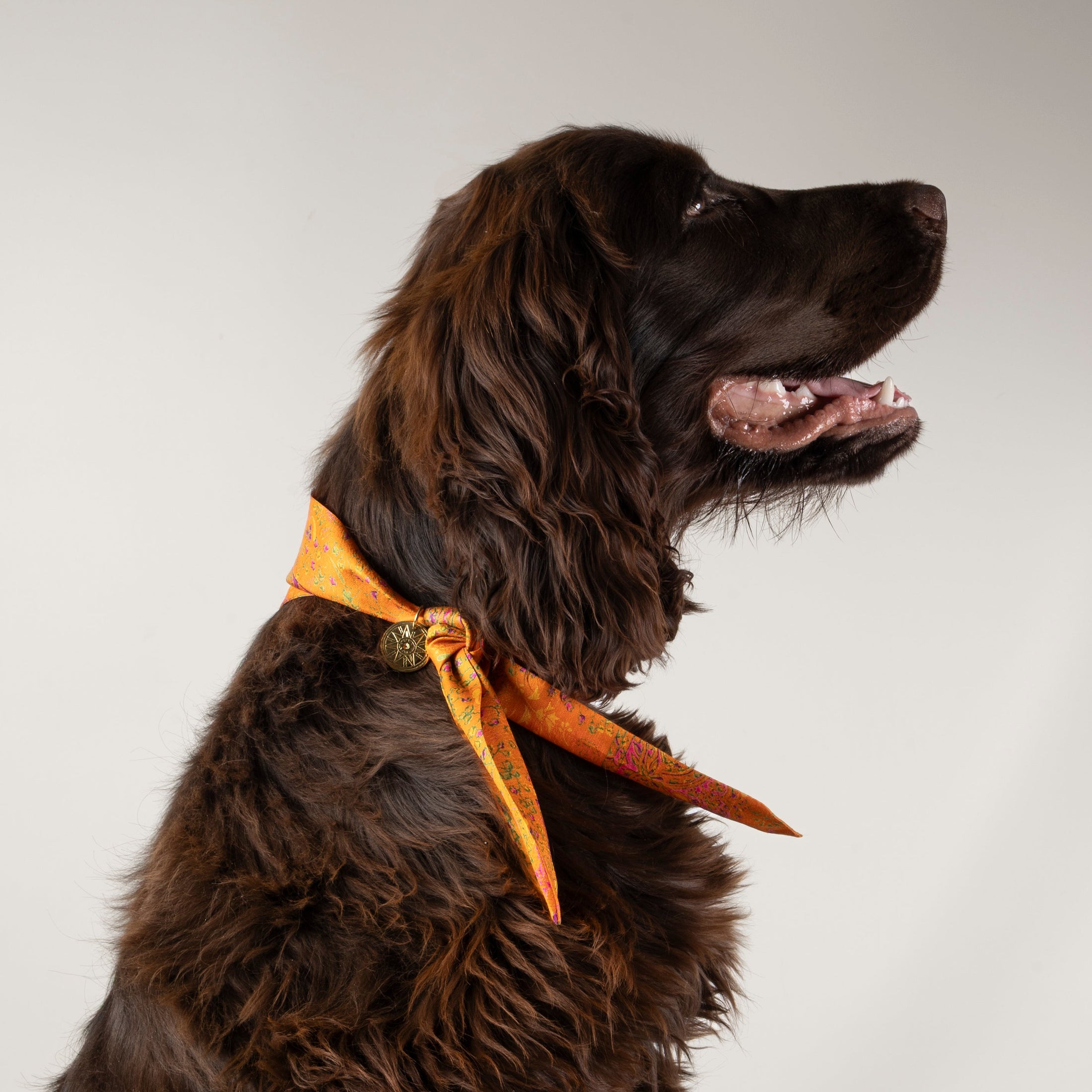 Foulard de soie Clémentine pour chien-Les Soieries d'HUBBTON'S