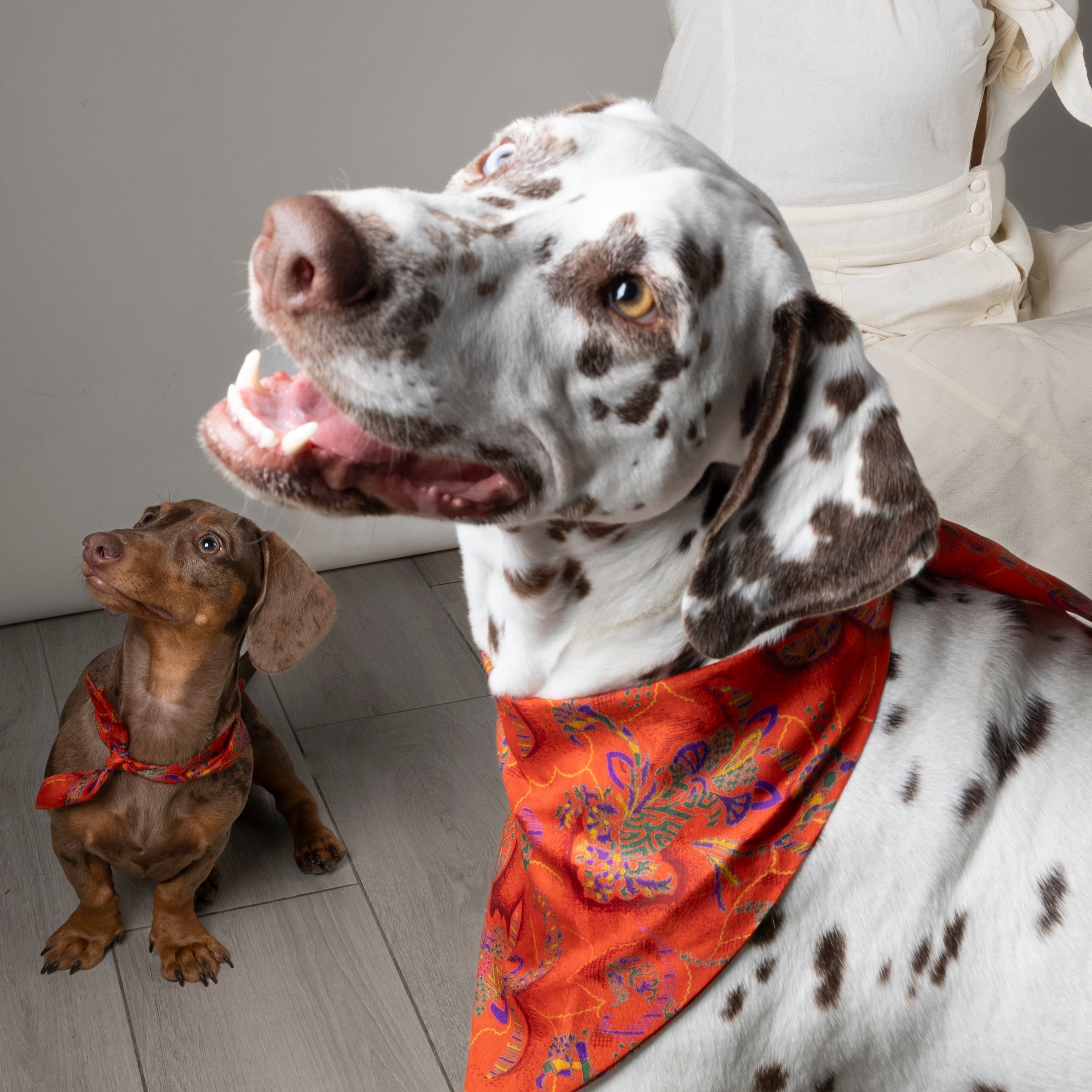 Foulard de soie Cuivre d'automne pour chien-Les Soieries d'HUBBTON'S