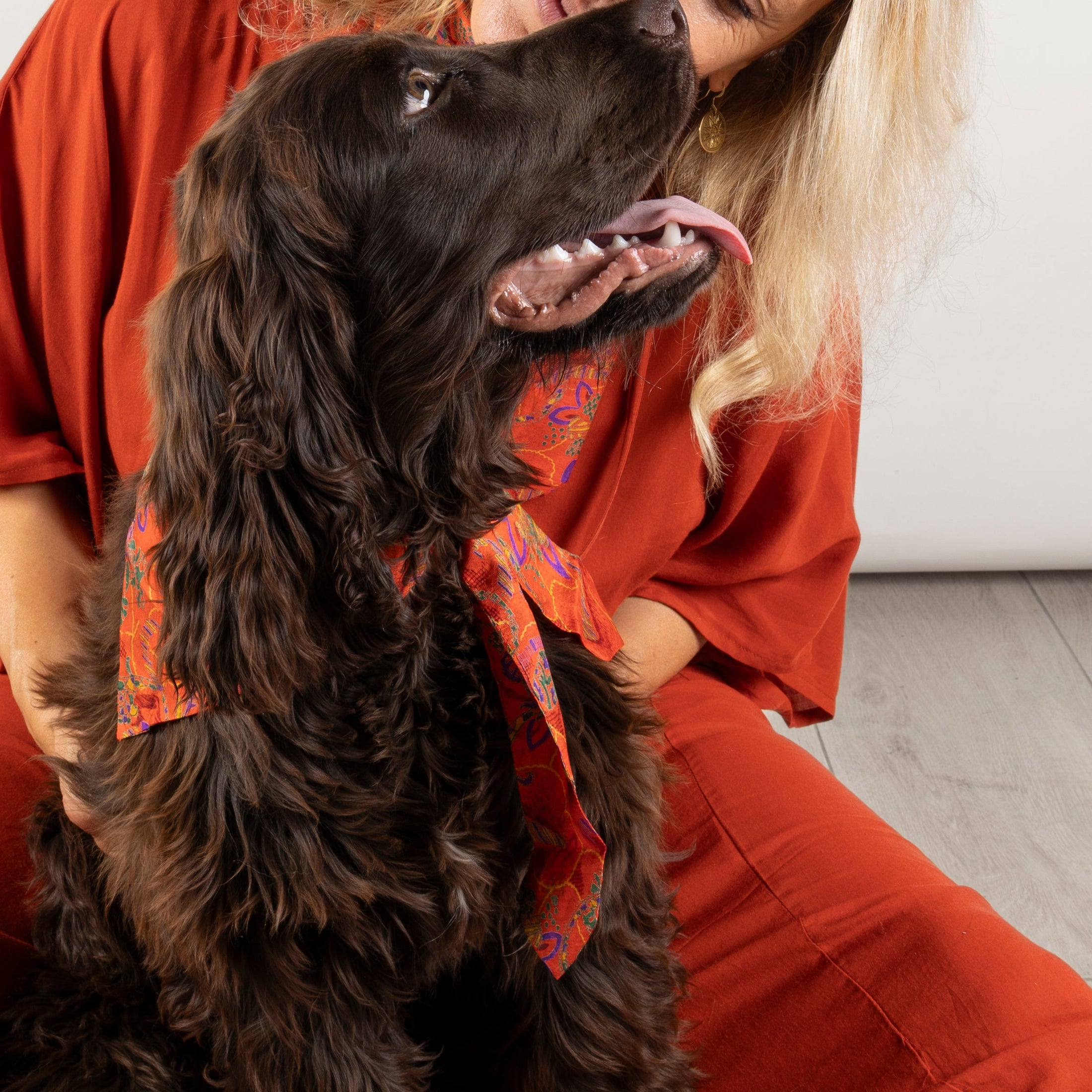 Foulard de soie Cuivre d'automne pour chien-Les Soieries d'HUBBTON'S