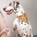 Charger l'image dans la visionneuse de la galerie, Foulard de soie Joy pour chien-Les Soieries d'HUBBTON'S
