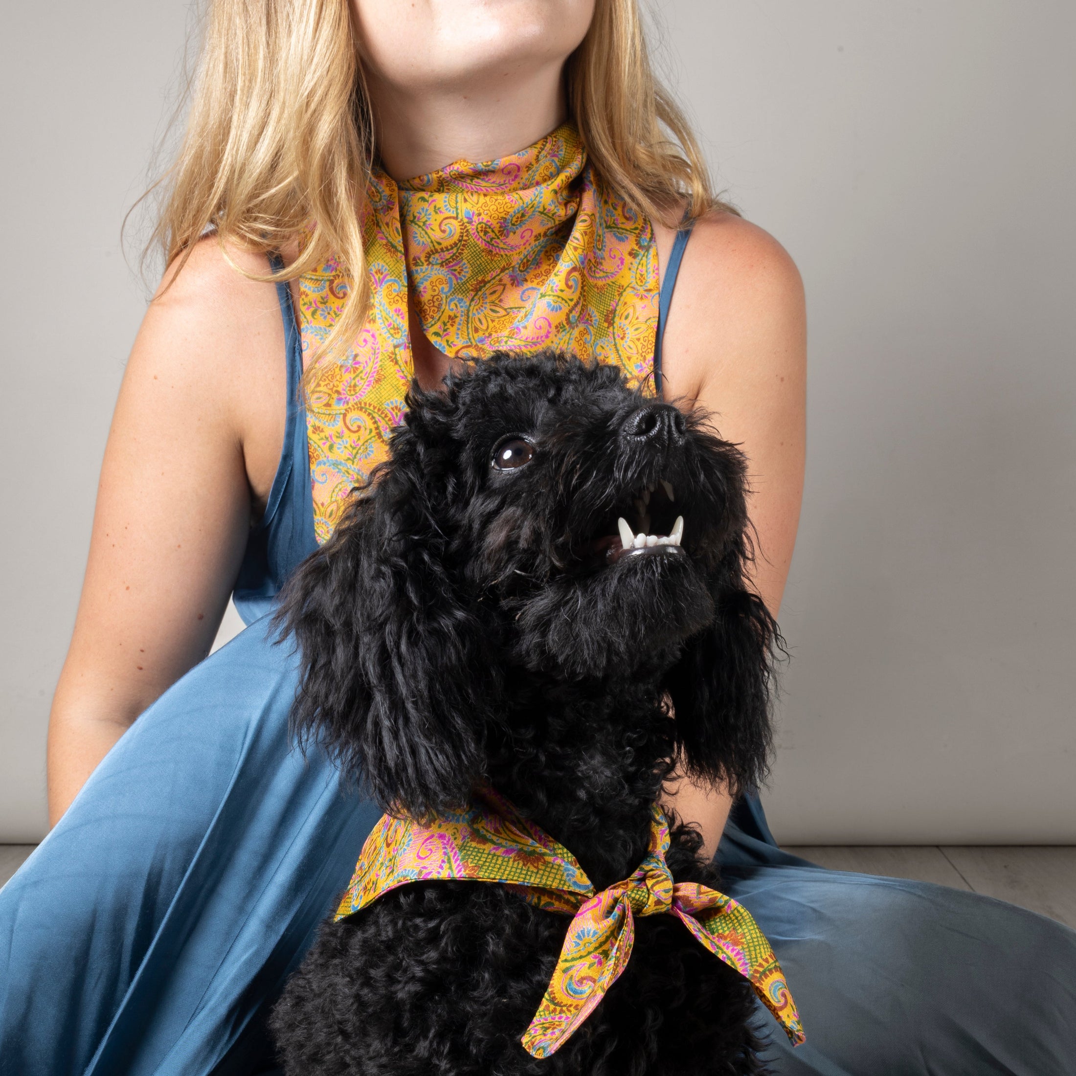 Foulard de soie Joy pour chien-Les Soieries d'HUBBTON'S