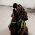 Charger l'image dans la visionneuse de la galerie, Foulard de soie Kaki pour chien-Les Soieries d'HUBBTON'S
