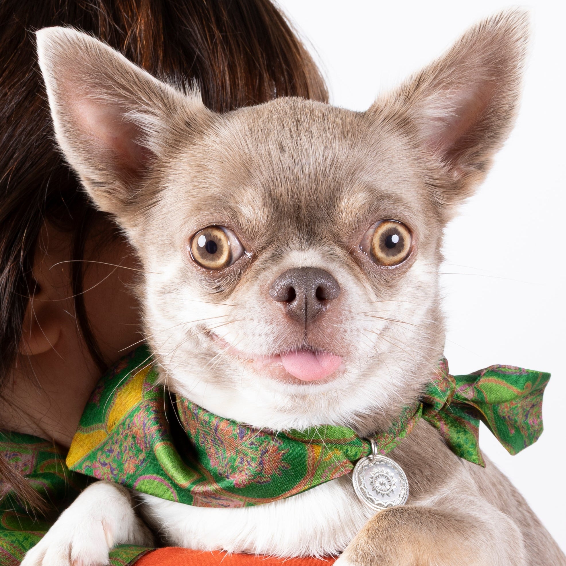 Foulard de soie Kaki pour chien-Les Soieries d'HUBBTON'S