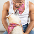 Charger l'image dans la visionneuse de la galerie, Foulard de soie Rose Indien pour chien-Les Soieries d'HUBBTON'S
