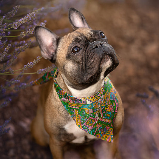 Foulard de soie Tutti-Frutti pour chien-Les Soieries d'HUBBTON'S