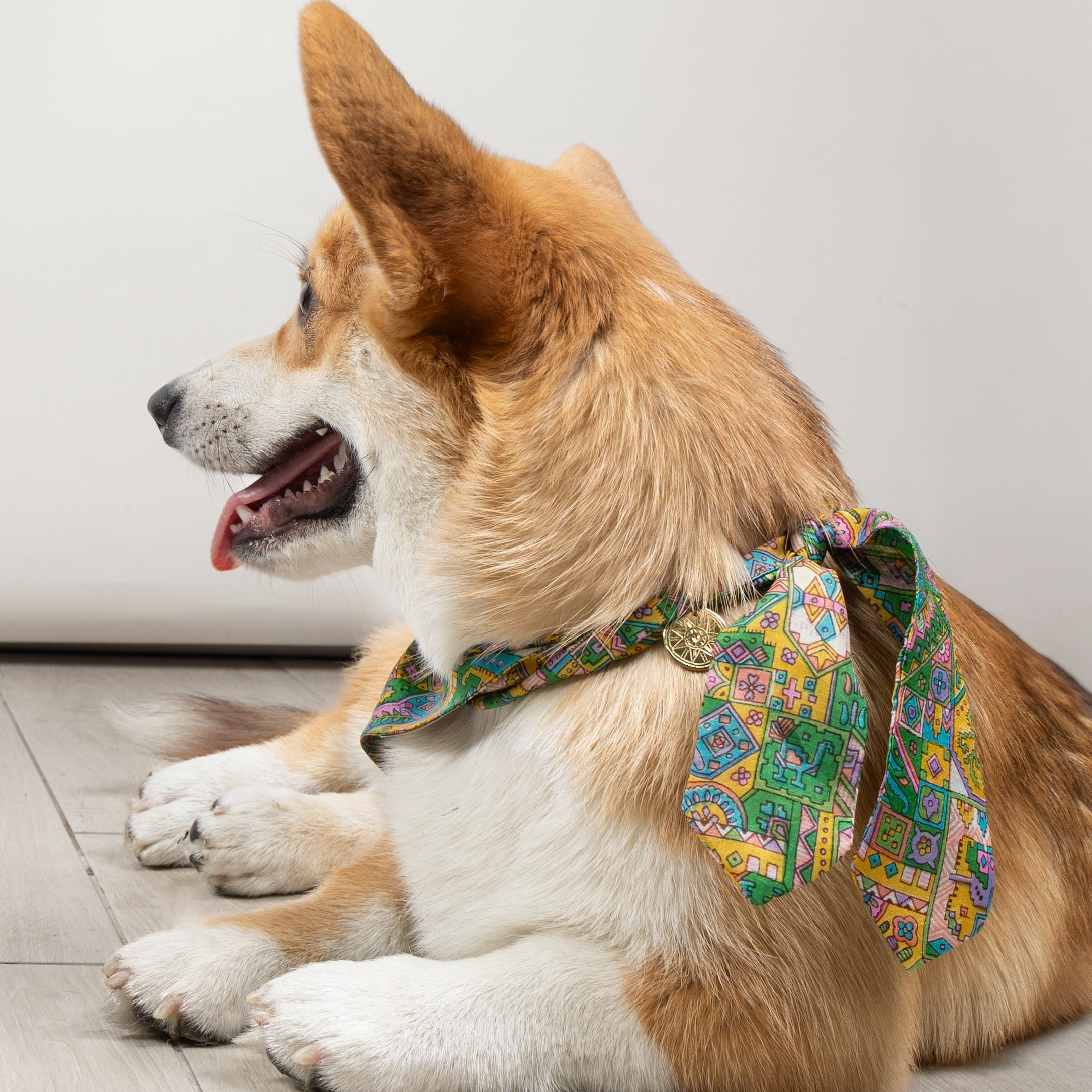 Foulard de soie Tutti-Frutti pour chien-Les Soieries d'HUBBTON'S