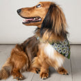 Charger l'image dans la visionneuse de la galerie, Foulard de soie Vert fleuri pour chien-Les Soieries d'HUBBTON'S
