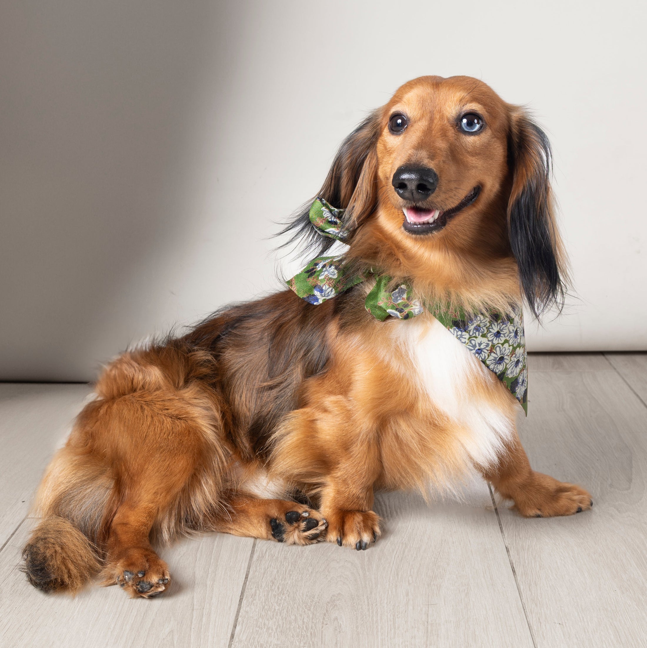 Foulard de soie Vert fleuri pour chien-Les Soieries d'HUBBTON'S