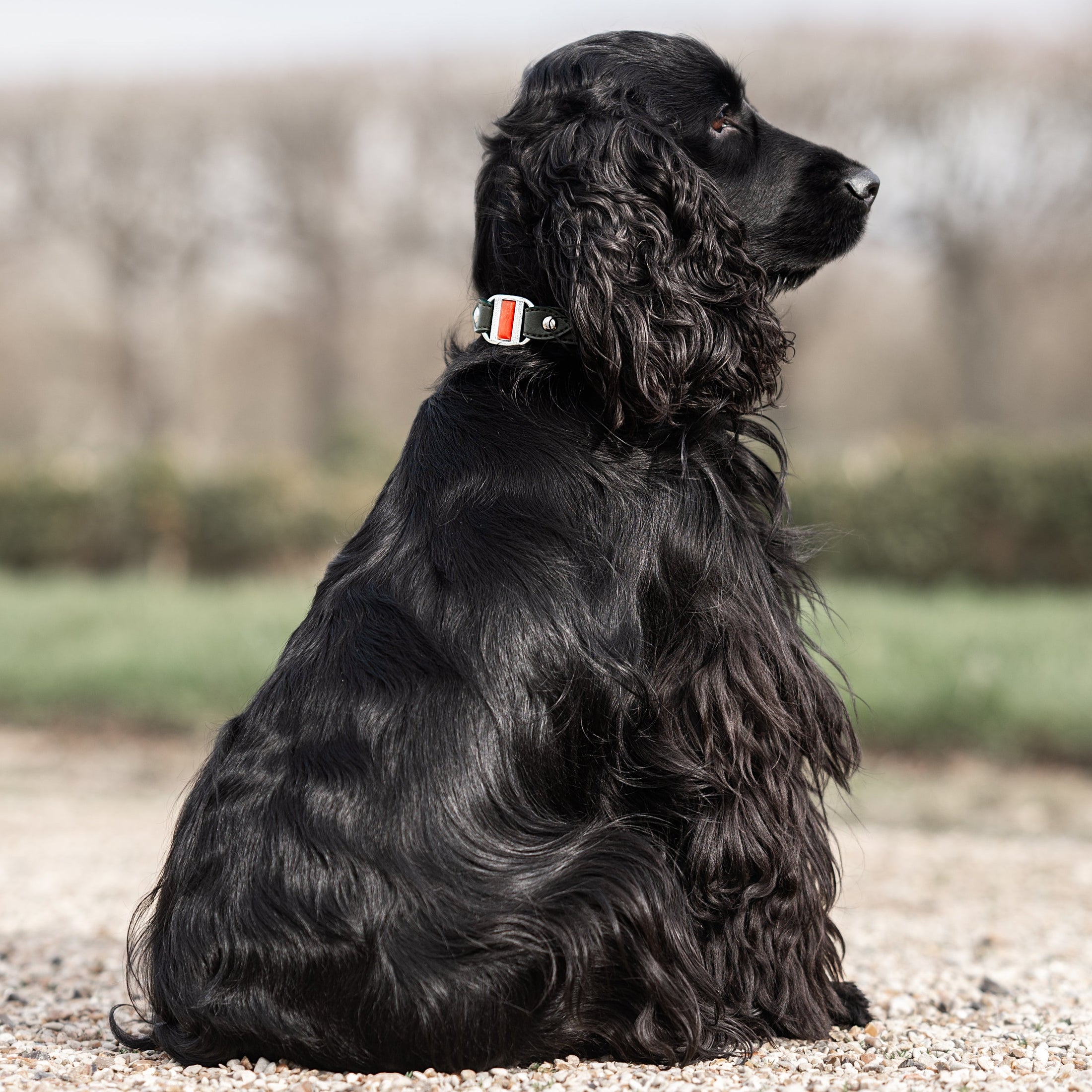 Corps de Collier Touareg pour Petit et Moyen Chien (petite boucle Signature et cabochon à ajouter)